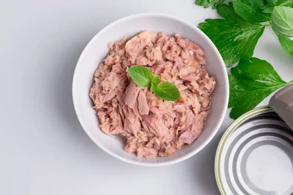 تصویر 2 از قیمت خرید تن ماهی فلفلی + فروش ویژه